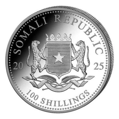 Somalia - Wildlife Elefant Privy ANA 2025