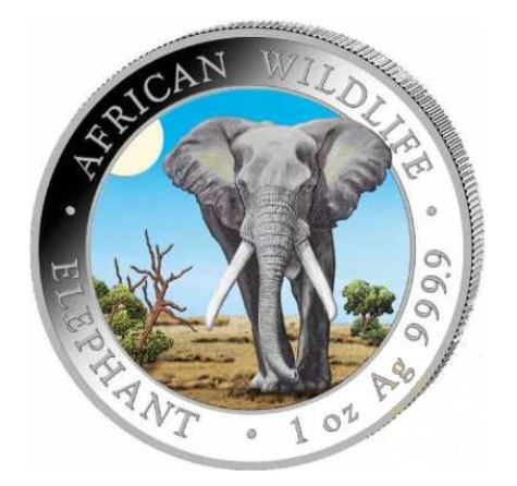 Somalia - Elefant 2025 Color