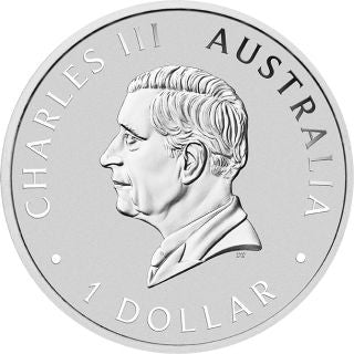 Australien ANDA Perth Schwan 2026 1 oz Silber farbig im Etui