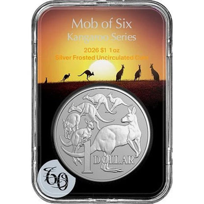 Australien - Känguru Mob of Six 2026 im Slab