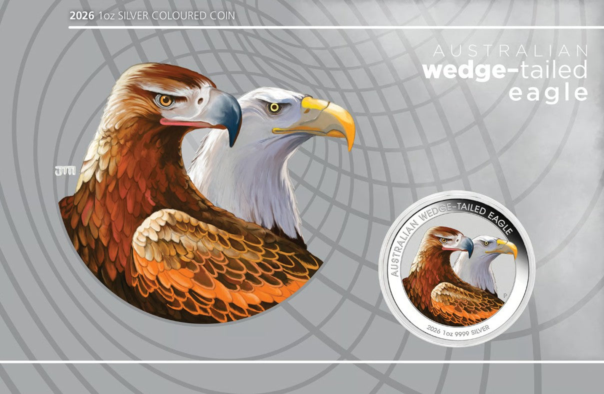Australien - Wedge Tailed Eagle 2026 Color