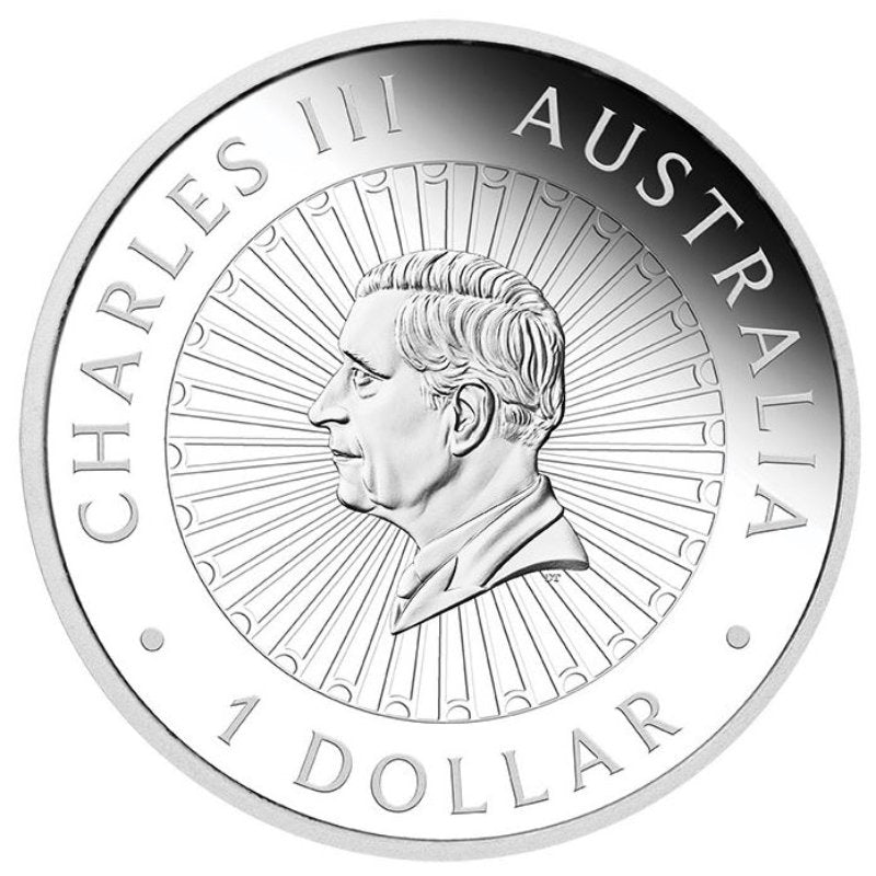 Australien - Great Southern Land Jaspis Einlage 2025