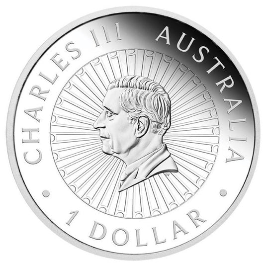 Australien - Great Southern Land Jaspis Einlage 2025