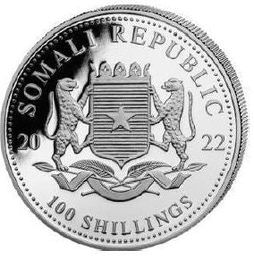 Somalia - Wildlife Leopard 2022