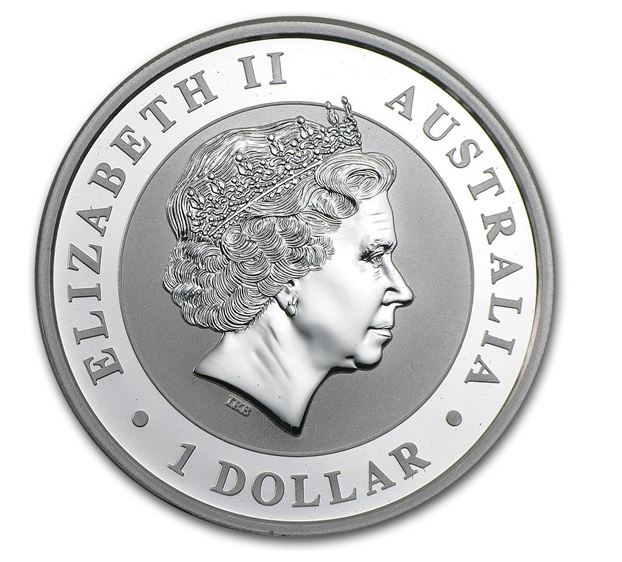 Australien - Stock Horse 2015