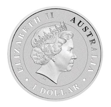 Australien Funnel-Web Spider 2015 1 Unze Silbermünze