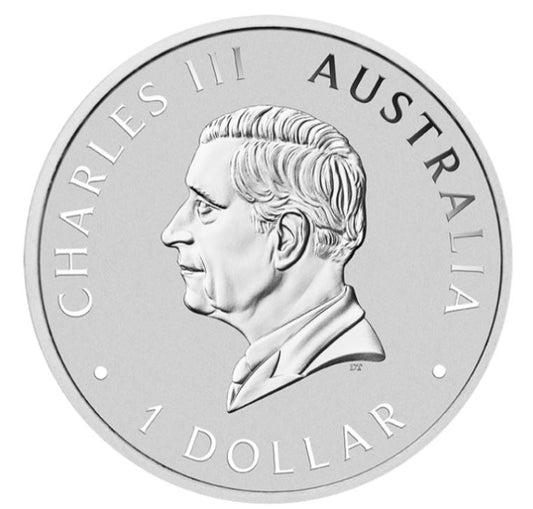 Australien 2024 Hourglass Dolphin 1 oz Silber