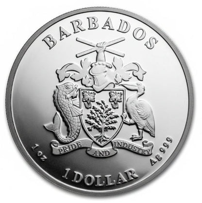 Barbados - Karibischer Pelikan 2022