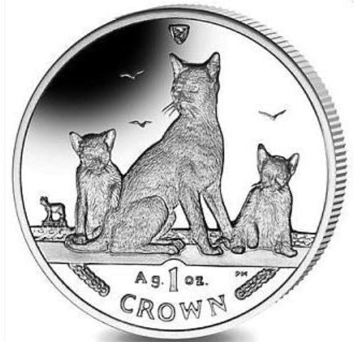 Isle of Man - Havana Brown Katze 2016