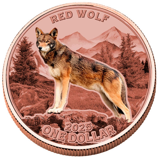 Mesa Grande Sovereign Nation 2025 – 5 oz Kupfer koloriert „Red Wolf“
