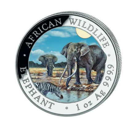 Somalia - Wildlife Elefant 2026 Color