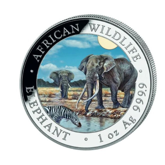 Somalia - Wildlife Elefant 2026 Color