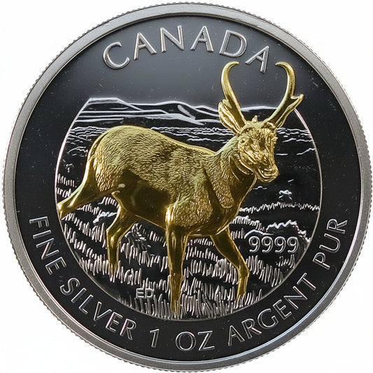 Kanada Antilope 2013 teilvergoldet 1 oz Silbermünze