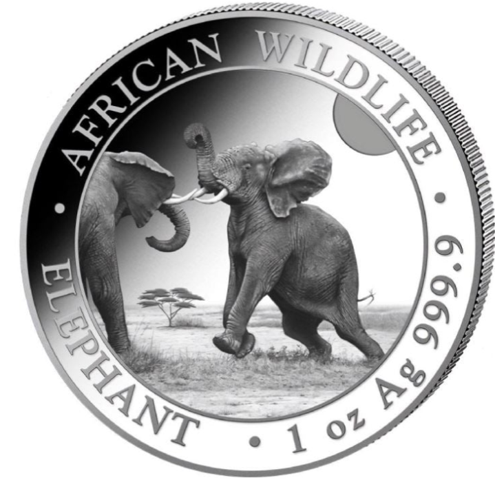 1 Unze Silber Somalia Elefant 2024 African Wildlife Feinsilber 999,9 prägefrisch Münzkapsel