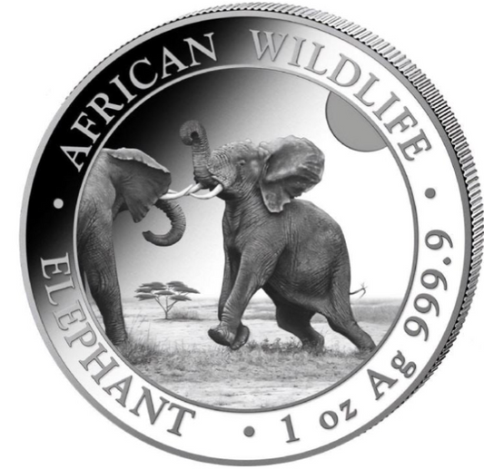 1 Unze Silber Somalia Elefant 2024 African Wildlife Feinsilber 999,9 prägefrisch Münzkapsel