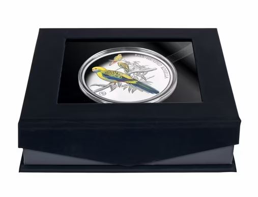 Niue Blasskopfsittich 2026 Silbermünze Proof Privy Mark