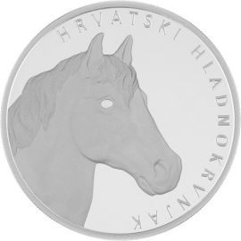 Kroatien - Kaltblut Pferd 2025
