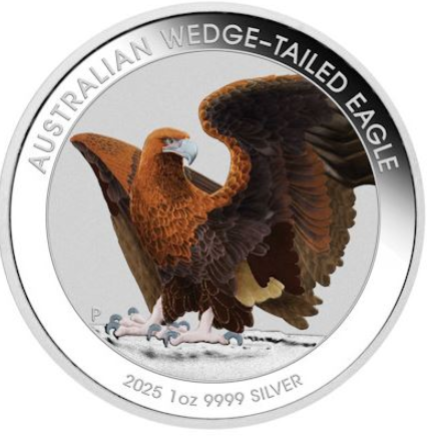 Australien - Wedge Tailed Eagle 2025 Color