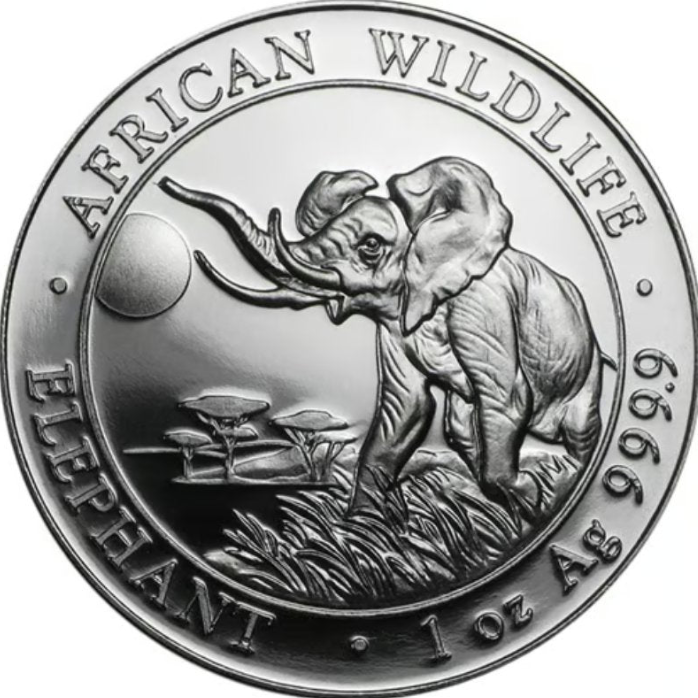 Somalia - Wildlife Elefant 2016