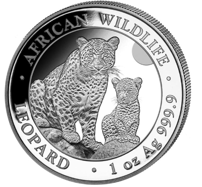 Somalia Leopard 2024 | African Wildlife | 100 Shillings Silber