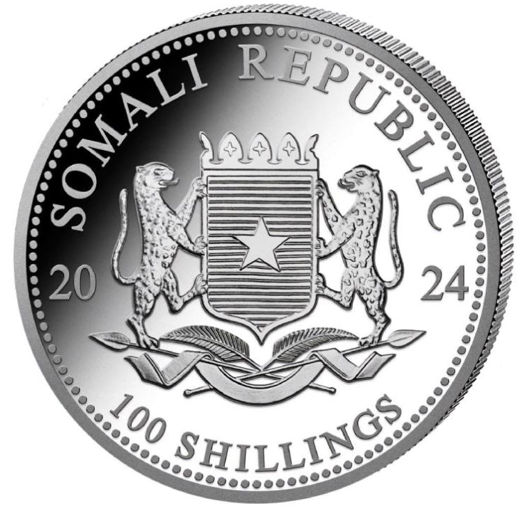Somalia Leopard 2024 | African Wildlife | 100 Shillings Silber