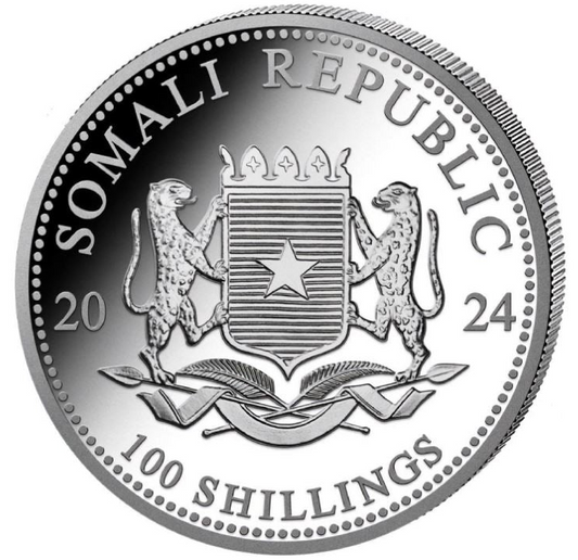 Somalia Leopard 2024 | African Wildlife | 100 Shillings Silber