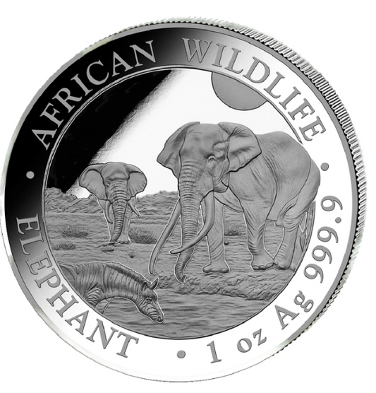 Somali Elephant 2026 1 Unze Silbermünze Proof High Relief