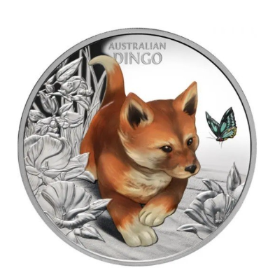 Baby Dingo 2024 1 Unze Silbermünze coloriert Proof