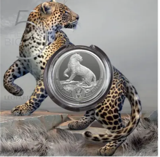 Big Five Leopard 2026 Silbermünze 1 Unze Südafrika