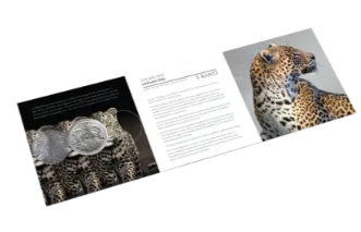 Big Five Leopard 2026 Silbermünze 1 Unze Südafrika