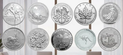 Unze mit 999er Silber - diverse Ausgaben in Top Qualität