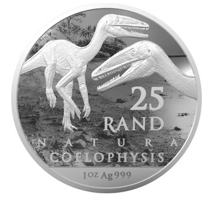 Südafrika Natura Coelophysis 2020 1 oz Silber 25 Rand