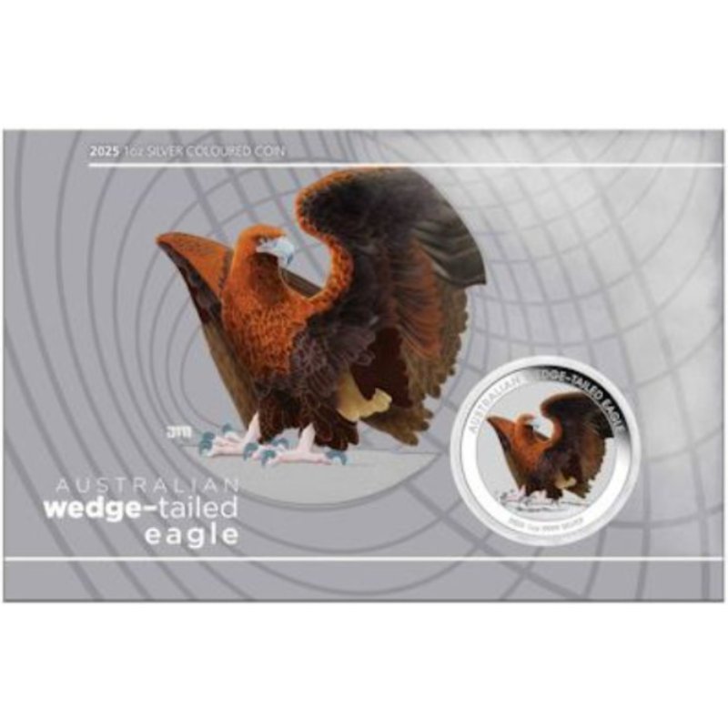 Australien - Wedge Tailed Eagle 2025 Color