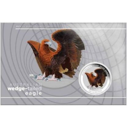 Australien - Wedge Tailed Eagle 2025 Color