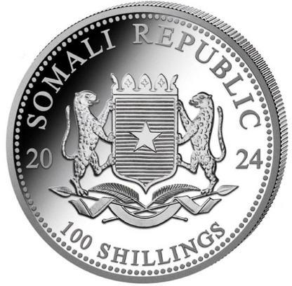 1 Unze Silber Somalia Elefant 2024 African Wildlife Feinsilber 999,9 prägefrisch Münzkapsel