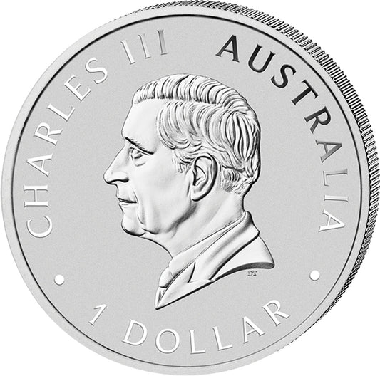 Australien Koala ANDA Brisbane Color 2026 – Rückseite