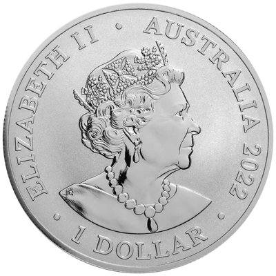 Australien - Dusky Dolphin 2022