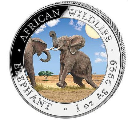 Somalia - Elefant 2024 coloriert