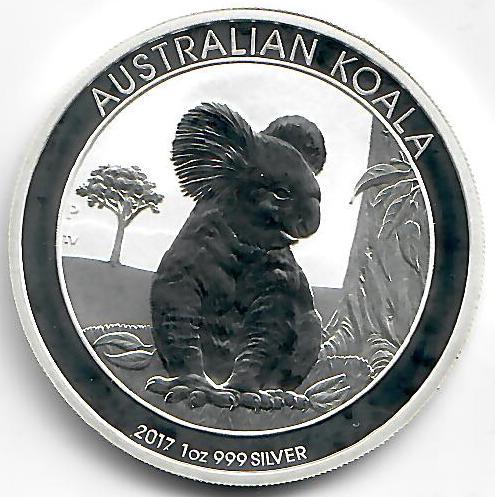 Australien - Koala 2017