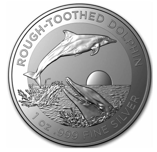 Australien - Rough-Toothed Dolphin 2023 - Edelmetalle Koitz GnbR
