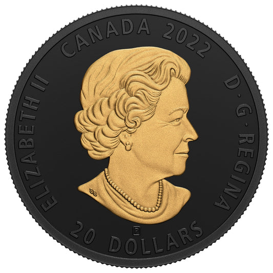 Kanada 20 Dollar 2022 Schwarz & Gold Otter – Rückseite