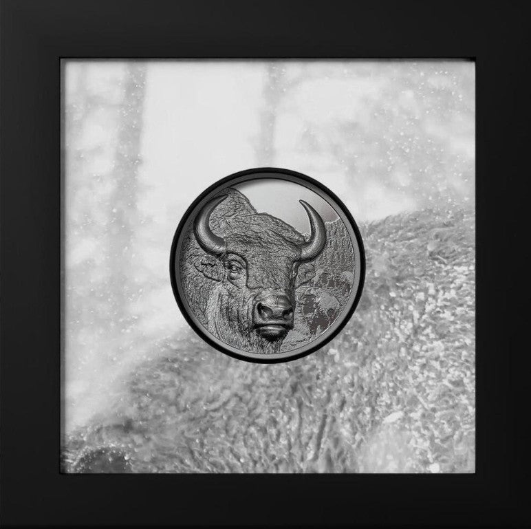 Alt-Text: Mongolei Bison 2025 2 Unzen Silbermünze Black Proof