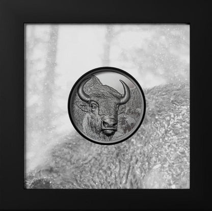 Alt-Text: Mongolei Bison 2025 2 Unzen Silbermünze Black Proof